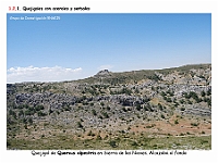 AtlasVegetacion 1 Bosques 038 Quejigal con arces Quercus alpestris