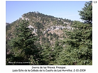 0028 Paisajes Comarca 1 Sierra de Las Nieves 014