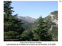 0031 Paisajes Comarca 1 Sierra de Las Nieves 017