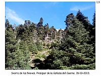 0042 Paisajes Comarca 1 Sierra de Las Nieves 028