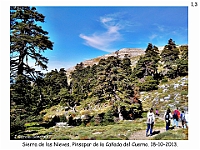 0043 Paisajes Comarca 1 Sierra de Las Nieves 029
