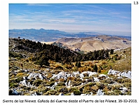0045 Paisajes Comarca 1 Sierra de Las Nieves 031