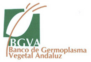 Icono Banco de Germoplasma Vegetal  Andaluz