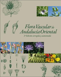 Florandor